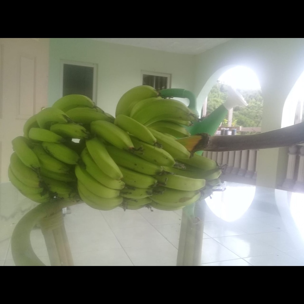 Meet your Posher, Ade